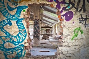 Basement Renovation in Hamilton